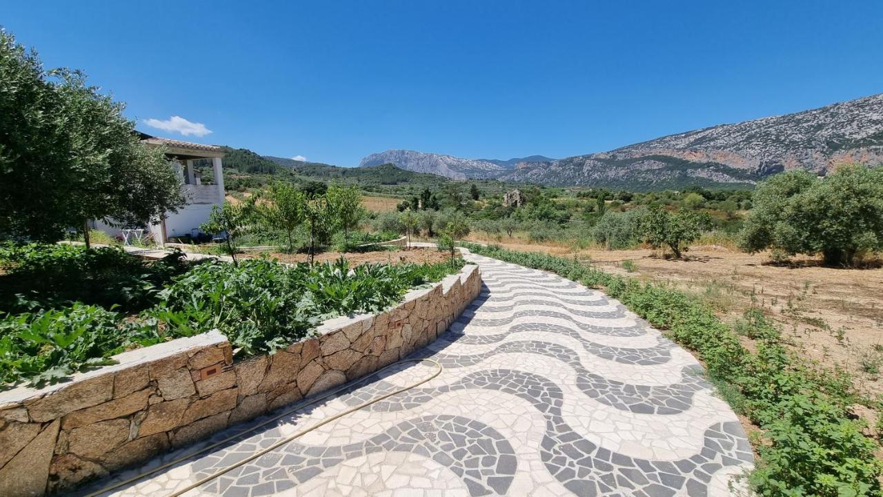 Villa Biriculi Dorgali Exterior foto